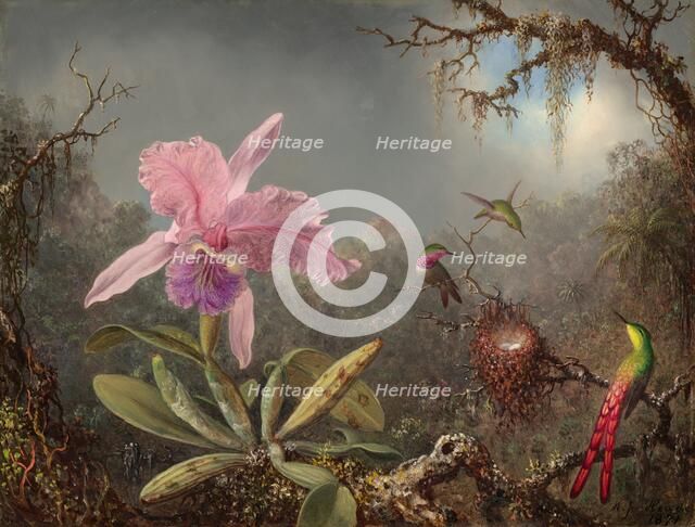 Cattleya Orchid and Three Hummingbirds, 1871. Creator: Martin Johnson Heade.