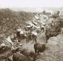 Cavalry, c1914-c1918