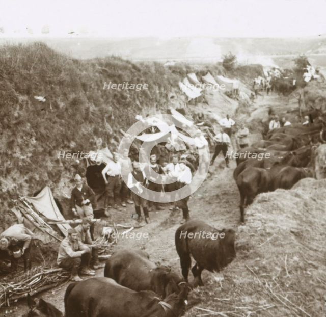Cavalry, c1914-c1918. Artist: Unknown.