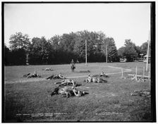 Cavalry detachment, throwing horses, M.M.A., Orchard Lake, Michigan, c1900. Creator: Unknown