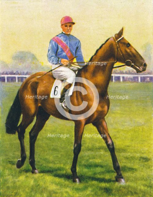 Cave Man,  Jockey: C. Richards', 1939. Artist: Unknown.