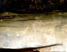 Cave paintings in the Abrigo del Navazo