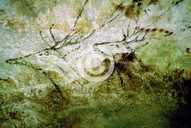 Cave-painting of 'swimming deer' from Lascaux, c15000 BC. Artist: Unknown