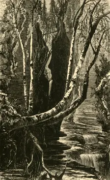Cavern Cascade, below Mountain House 1872. Creator: J. G. Smithwick