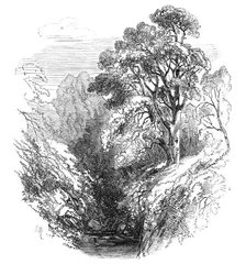 Cawdor Woods, 1868. Creator: S Read