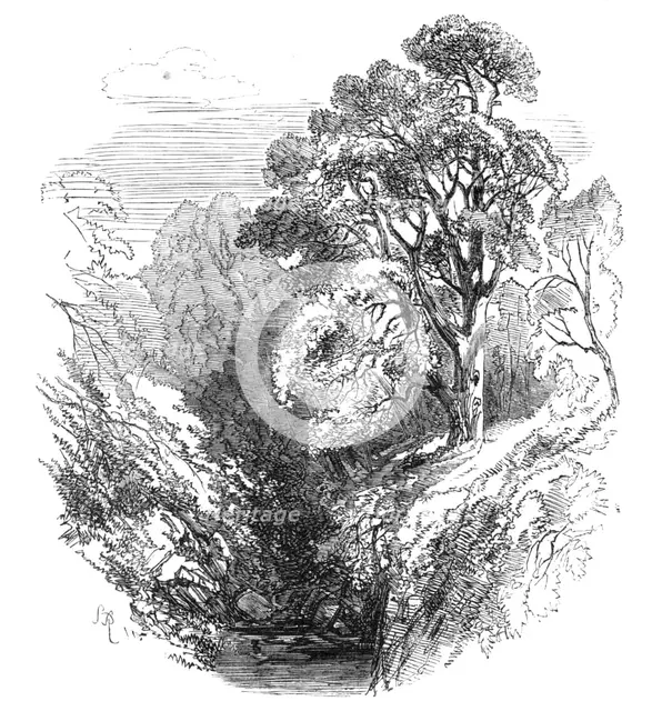 Cawdor Woods, 1868. Creator: S Read.