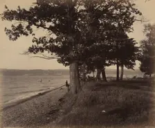 Cayuga Lake, Sheldrake, c. 1895. Creator: William H Rau