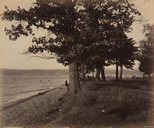Cayuga Lake, Sheldrake, c. 1895. Creator: William H Rau