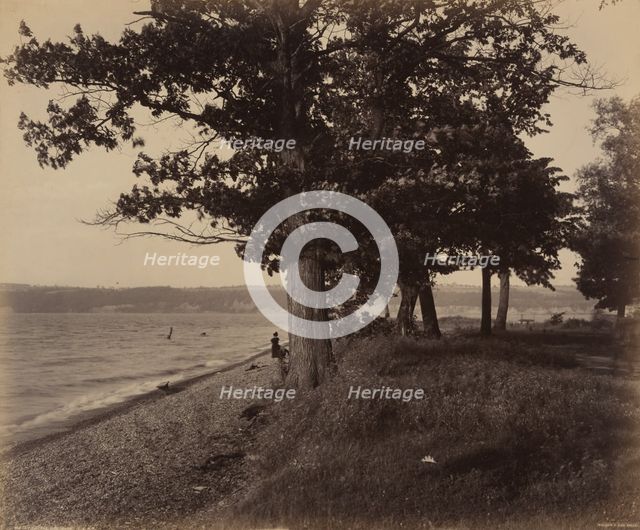 Cayuga Lake, Sheldrake, c. 1895. Creator: William H Rau.