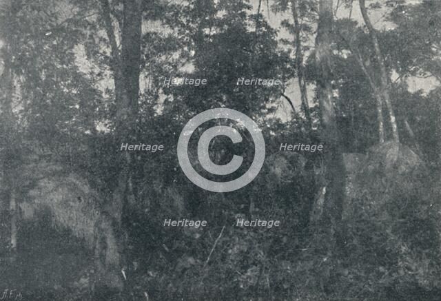 'Cabanas de Indios', 1895. Artist: Francisco Henszler.