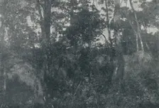 Cabanas de Indios 1895. Artist: Francisco Henszler