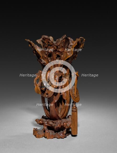 Cabbage and Beetle, mid 18th Century. Creator: Unknown.