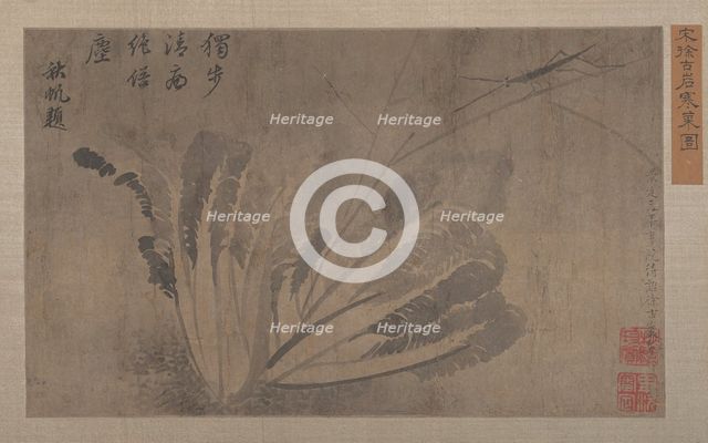 Cabbage and Insects. Creator: Xu Daoguang.