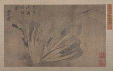 Cabbage and Insects. Creator: Xu Daoguang