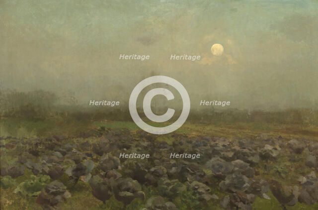 Cabbage Field by Moonlight, c1870-1890. Creator: Florent Crabeels.
