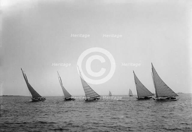 Cabin cats after start, 1898 July 30. Creator: Unknown.