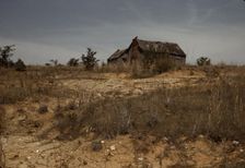Cabin in Southern U.S., ca. 1940. Creator: Marion Post Wolcott