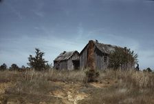 Cabin in Southern U.S., ca. 1940. Creator: Marion Post Wolcott