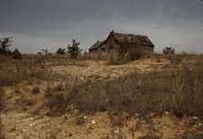 Cabin in Southern U.S., ca. 1940. Creator: Marion Post Wolcott