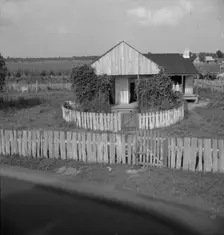 Cabin of sugarcane worker, Bayou La Fourche, Louisiana, 1937. Creator: Dorothea Lange