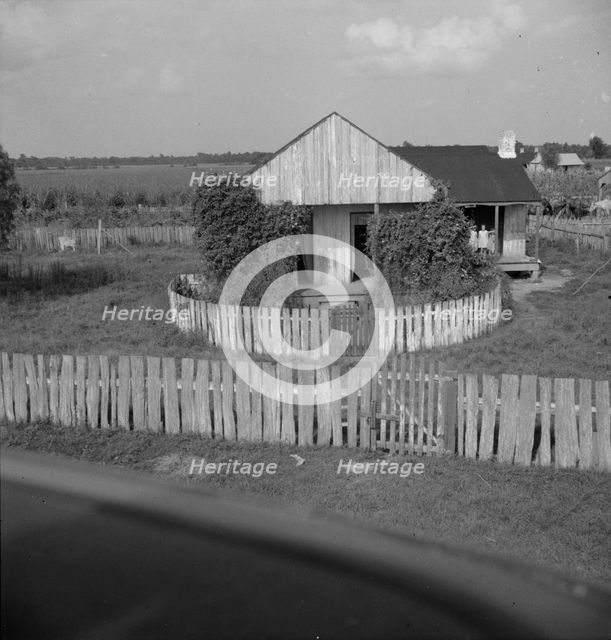 Cabin of sugarcane worker, Bayou La Fourche, Louisiana, 1937. Creator: Dorothea Lange.