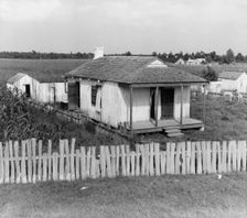 Cabin of sugarcane worker, Bayou La Fourche, Louisiana, 1937. Creator: Dorothea Lange