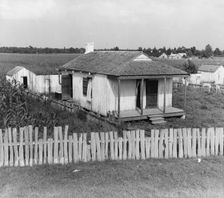 Cabin of sugarcane worker, Bayou La Fourche, Louisiana, 1937. Creator: Dorothea Lange