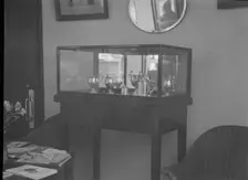 Cabinet containing motor racing trophies. Artist: Bill Brunell