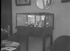 Cabinet containing motor racing trophies. Artist: Bill Brunell