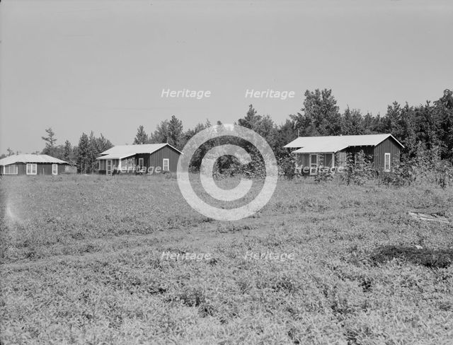 Cabins at the Delta cooperative farm, Hillhouse, Mississippi, 1937. Creator: Dorothea Lange.