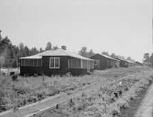Cabins at the Delta cooperative farms, Hillhouse, Mississippi, 1937. Creator: Dorothea Lange
