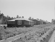 Cabins at the Delta cooperative farms, Hillhouse, Mississippi, 1937. Creator: Dorothea Lange