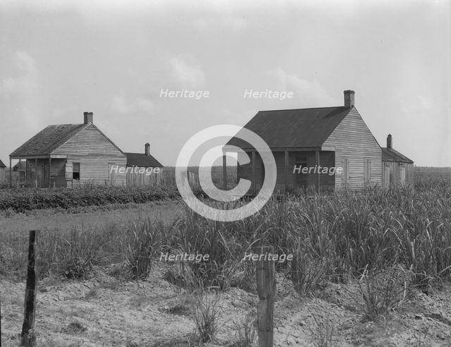 Cabins for sugarcane workers, Bayou La Fourche, Louisiana, 1937. Creator: Dorothea Lange.