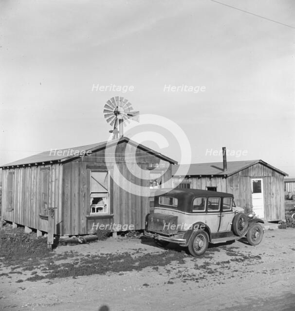 Cabins which rent for ten dollars..., Arkansawyers auto camp, Greenfield, Salinas Valley, CA, 1939. Creator: Dorothea Lange.