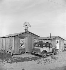Cabins which rent for ten dollars..., Arkansawyers auto camp, Greenfield, Salinas Valley, CA, 1939. Creator: Dorothea Lange