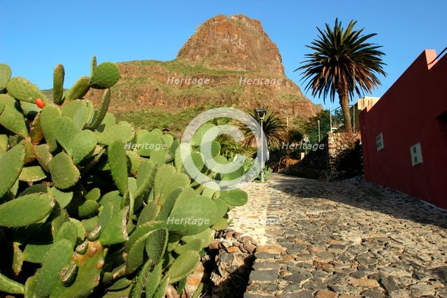 Cactus and street in Masca, Tenerife, Canary Islands, 2007. Creator: Peter Thompson.