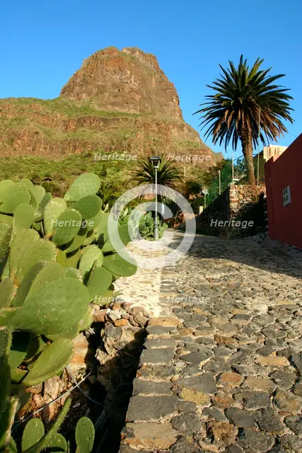 Cactus and street in Masca, Tenerife, Canary Islands, 2007. Creator: Peter Thompson.