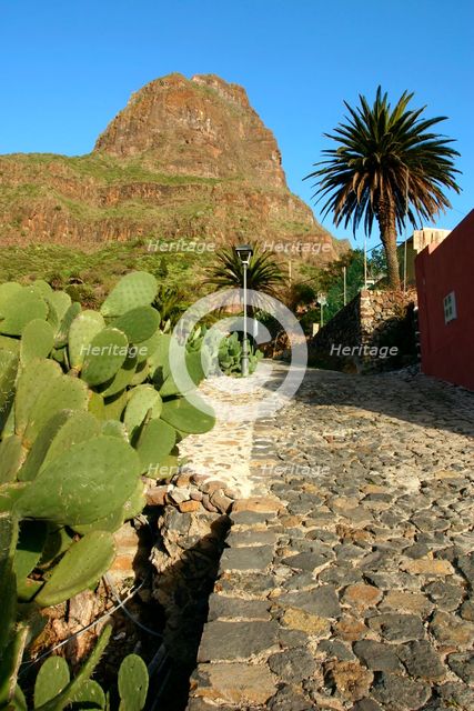 Cactus and street in Masca, Tenerife, Canary Islands, 2007. Creator: Peter Thompson.