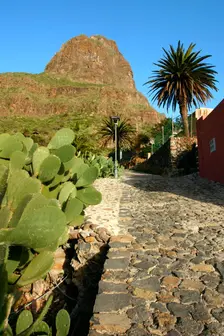 Cactus and street in Masca, Tenerife, Canary Islands, 2007. Creator: Peter Thompson