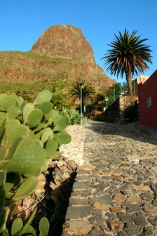 Cactus and street in Masca, Tenerife, Canary Islands, 2007. Creator: Peter Thompson