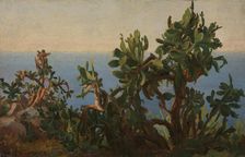 Cactus, probably 1833-1835. Creator: Thomas Fearnley