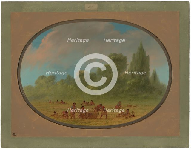 Caddoe Indians Gathering Wild Strawberries, 1861/1869. Creator: George Catlin.
