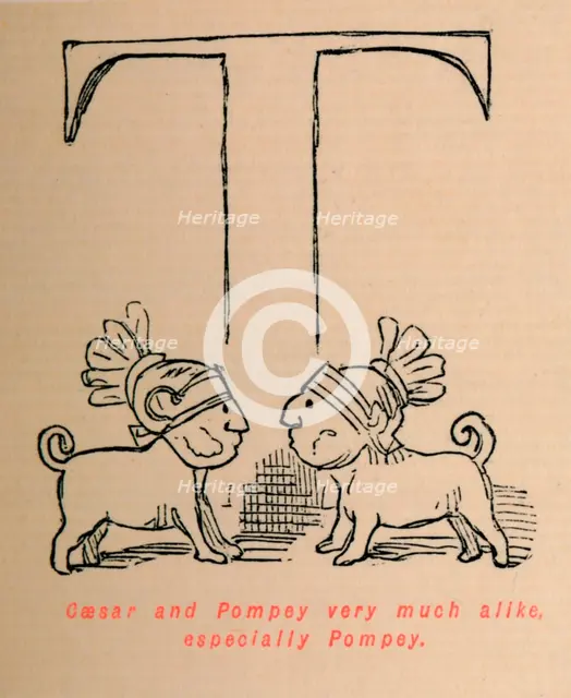 'Caesar and Pompey very much alike especially Pompey', 1852. Artist: John Leech.