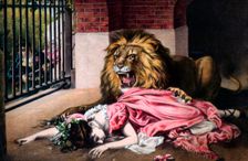 Caged Lion with sleeping woman c19th century