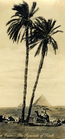 Cairo - The Pyramids of Girzeh c1918-c1939. Creator: Unknown