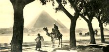 Cairo - The Pyramids c1918-c1939. Creator: Unknown
