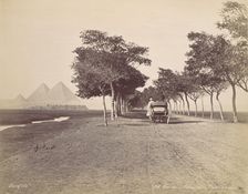 Caire. Allée de Pyramides, ca. 1870. Creator: Felix Bonfils