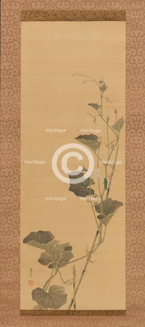 Calabash Flowers and Beetle, early 19th century. Creator: Maruyama Ôshin.