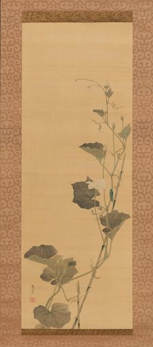 Calabash Flowers and Beetle, early 19th century. Creator: Maruyama Ôshin