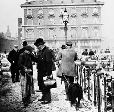 Caledonian Cattle Market, Copenhagen Fields, Islington, early 20th century. Creator: John Galt